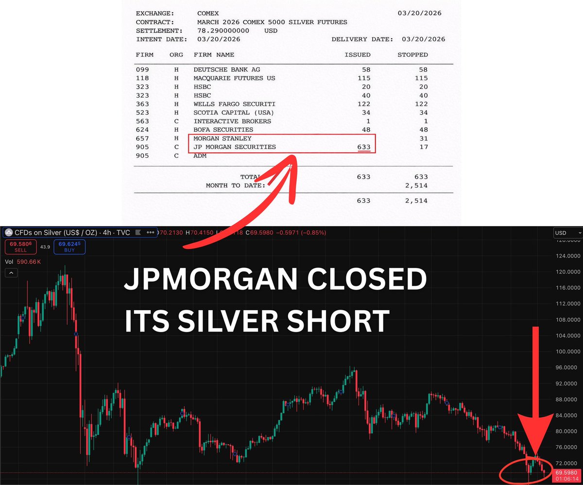 Stephanie 🇬🇧🇺🇸🦍 tweet media