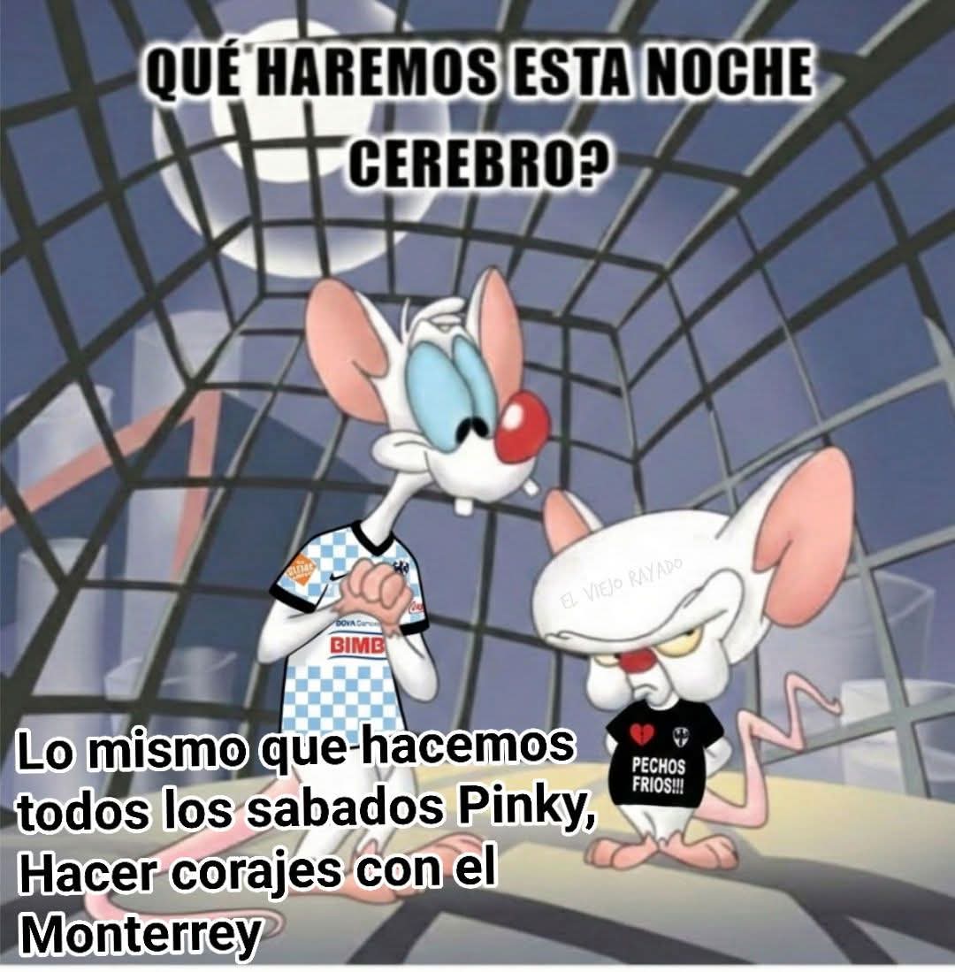 Juan Garher tweet media