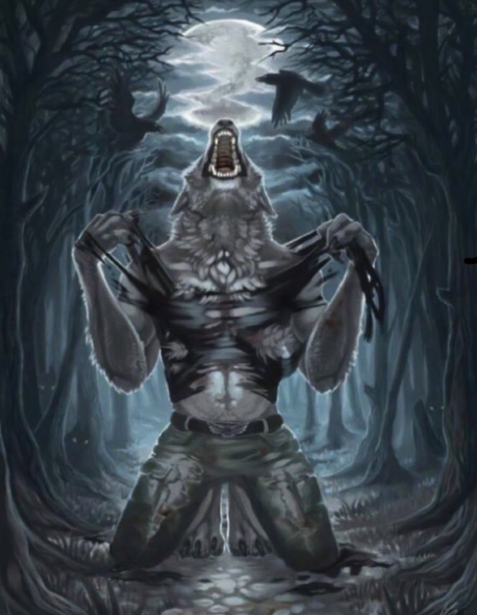 Gholdengo tweet media