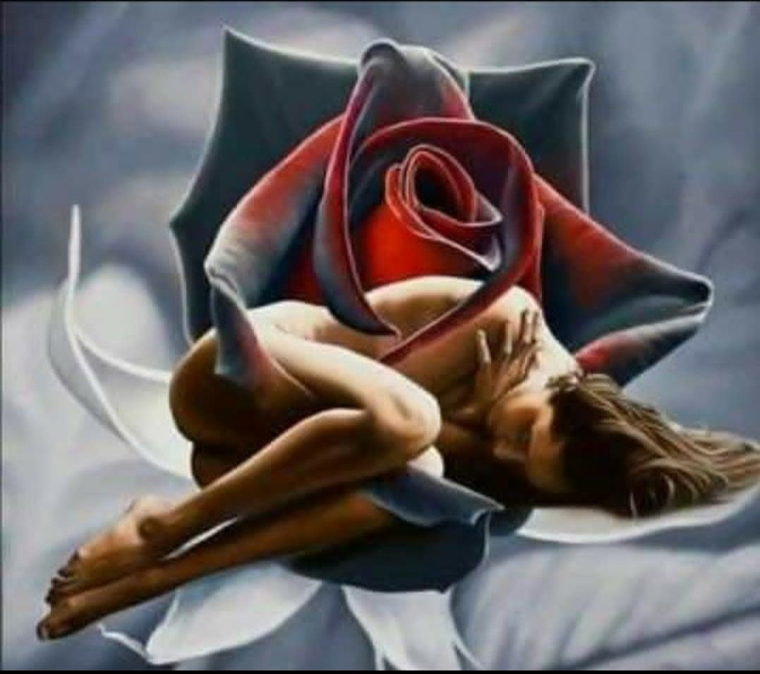 Elba Rosa Pérez Ballate 🌹🇨🇺🌴 tweet media