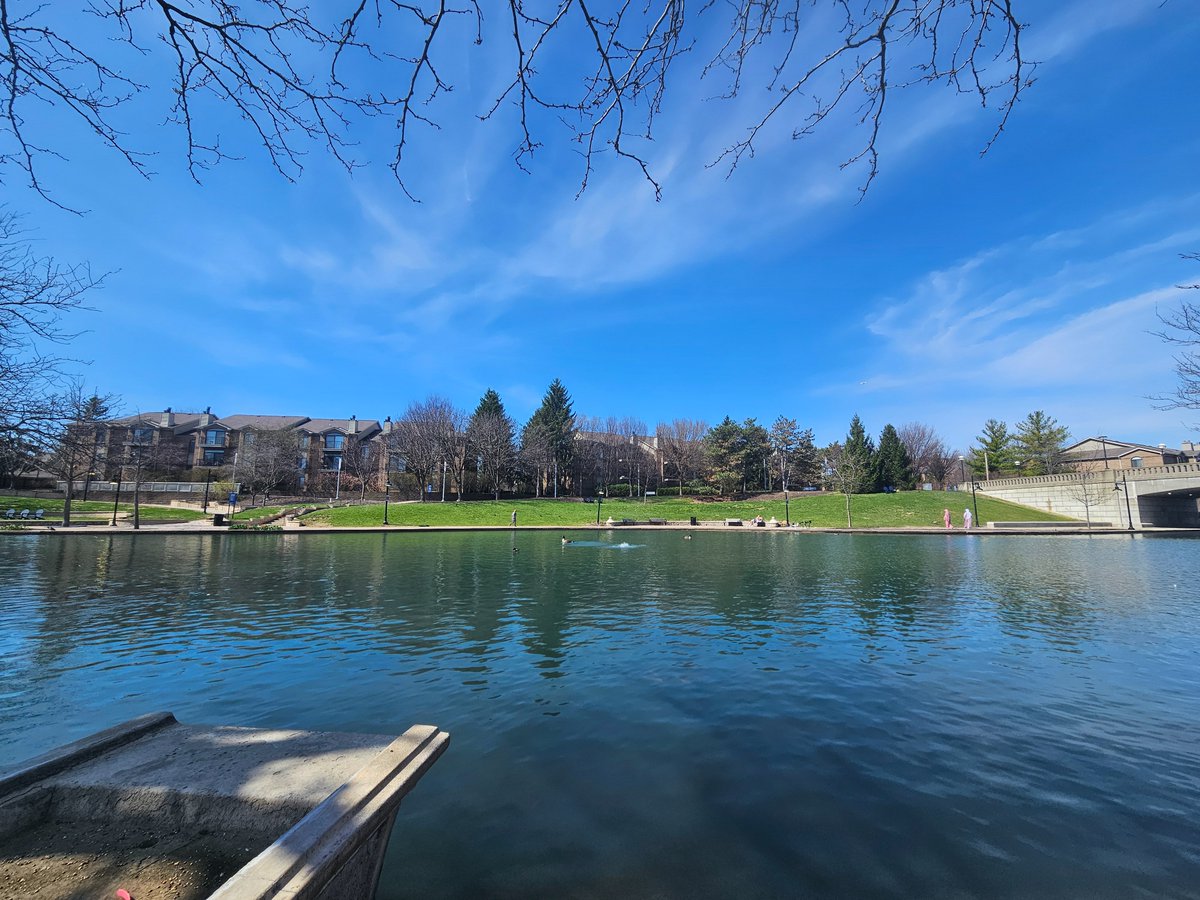 ODSY I Scrubbed Out tweet media