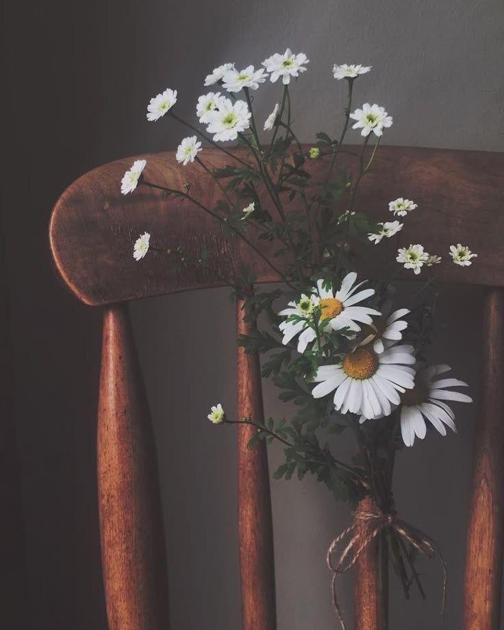 Canan Ertzn🍀 tweet media