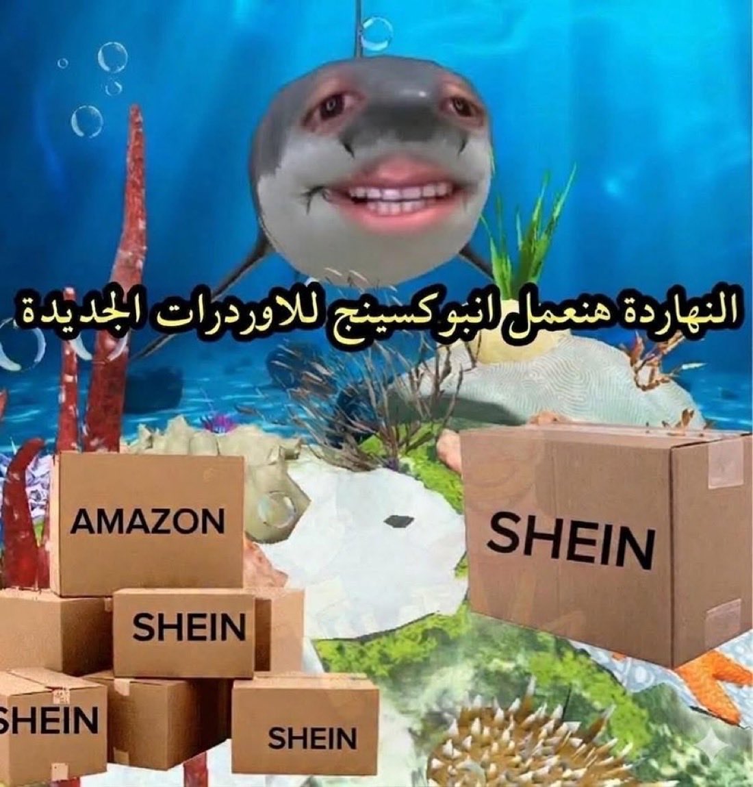 狼 KFO♚ tweet media