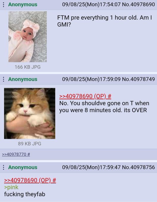 JACK ⚧︎ tweet media