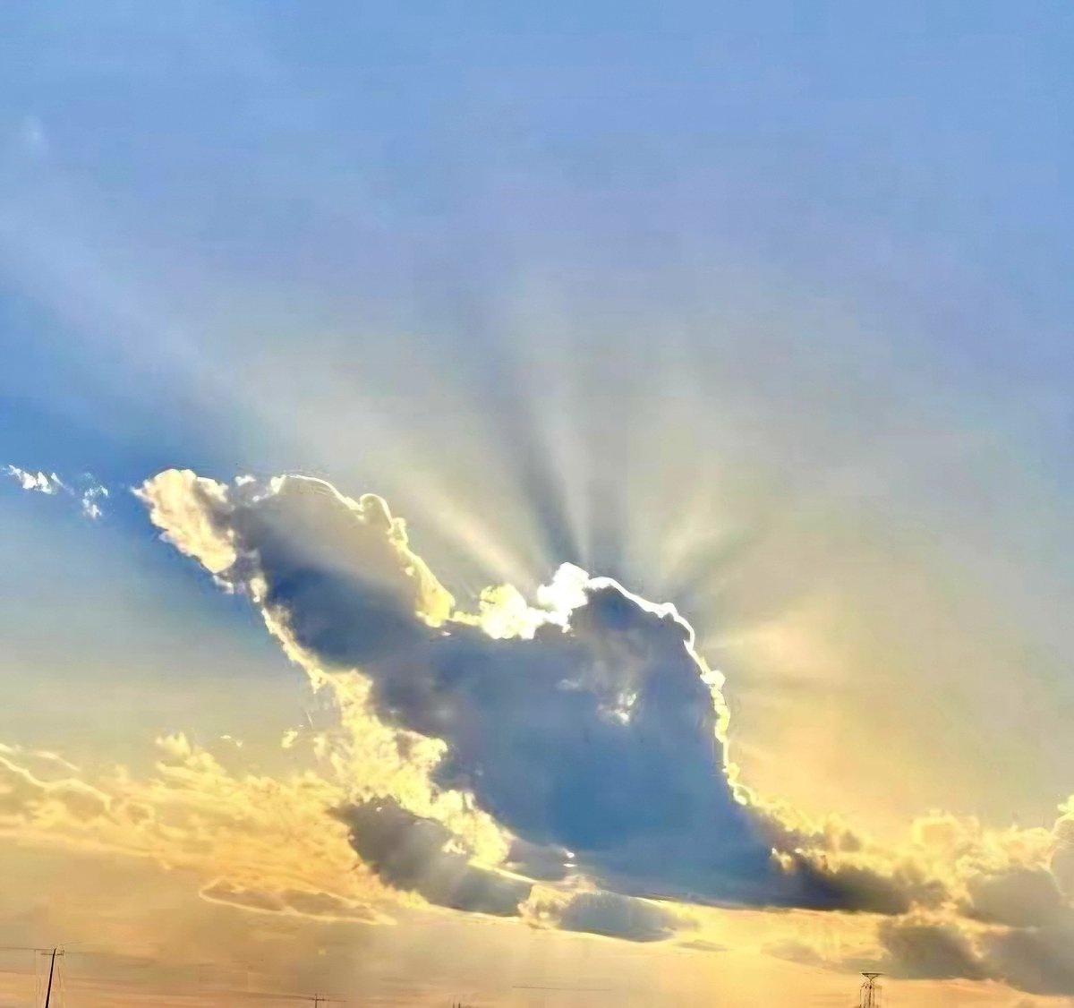 Sasan Karimi (ساسان کریمی) tweet media