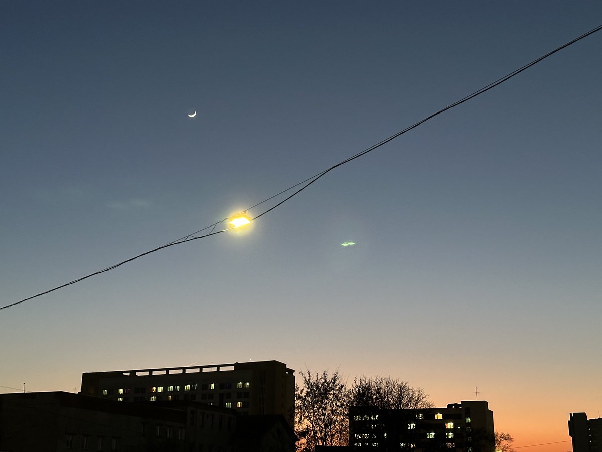 Лужа tweet media