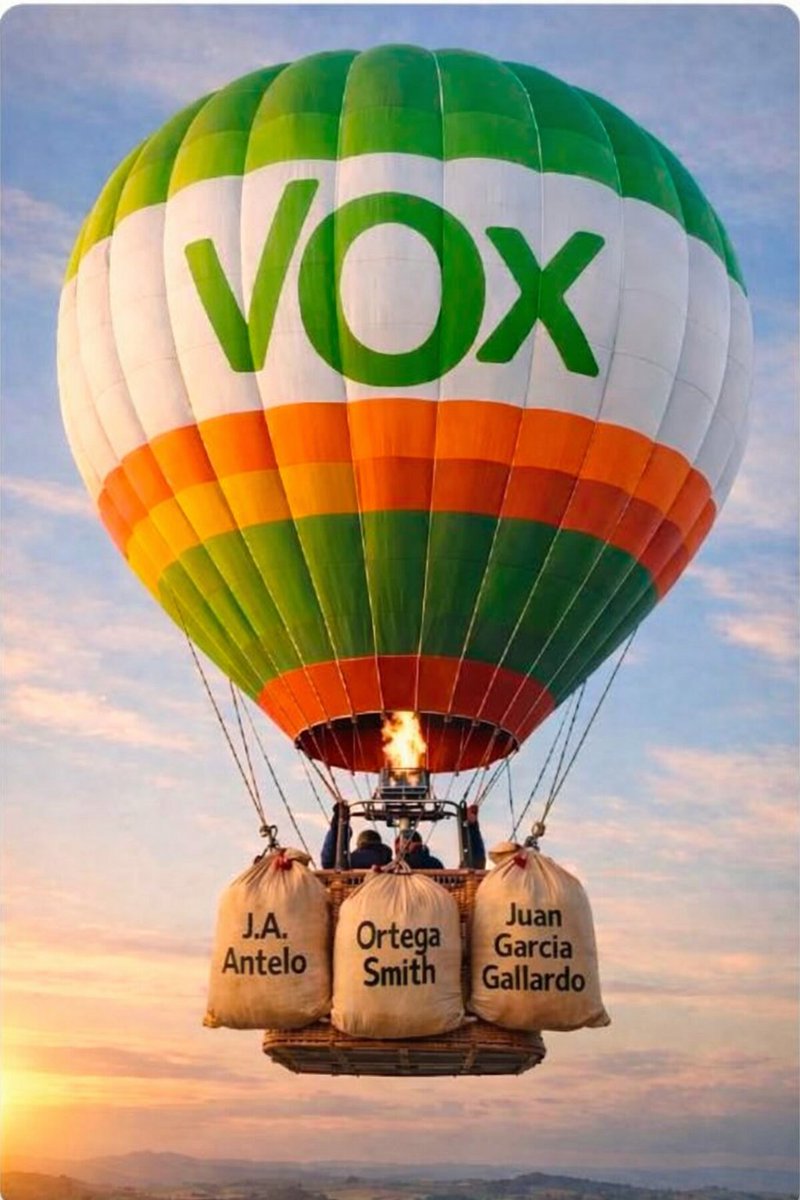 Gonzalo Pozo (Pogui) 🇪🇦💚 tweet media