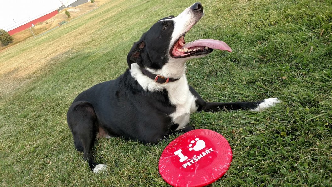 ProperTease tweet media