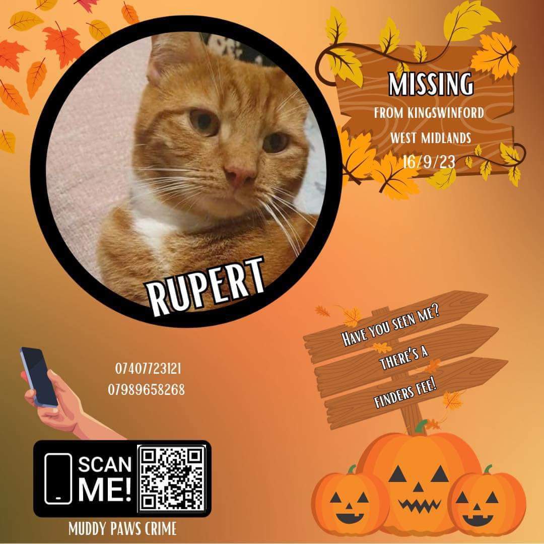 MissingPetsGB's tweet image. RUPERT has been missing since Saturday 16 September 2023 in Ploverdale Crescent #Kingswinford

Has anyone spotted Rupert? His paws are so distinctive with white mittens and his thumbs.

He is dearly loved &amp;amp; very missed💔

Please make contact with @Locket1975

#MissingCatsDay
