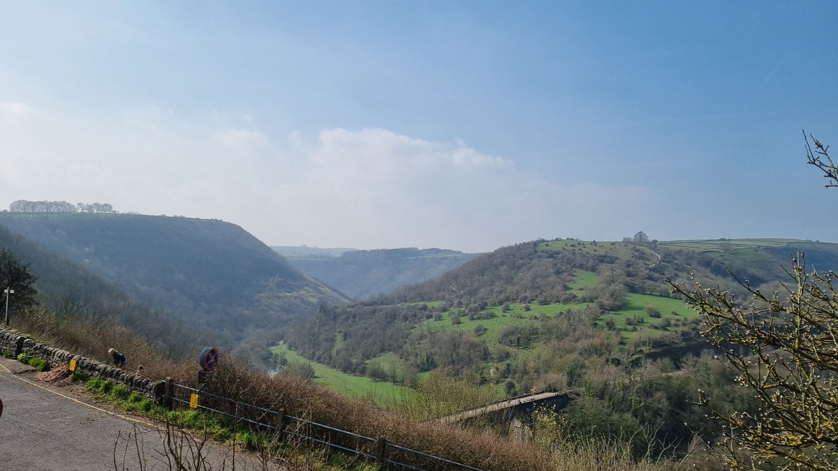 Jesse Jester 🎶 VSinger tweet media