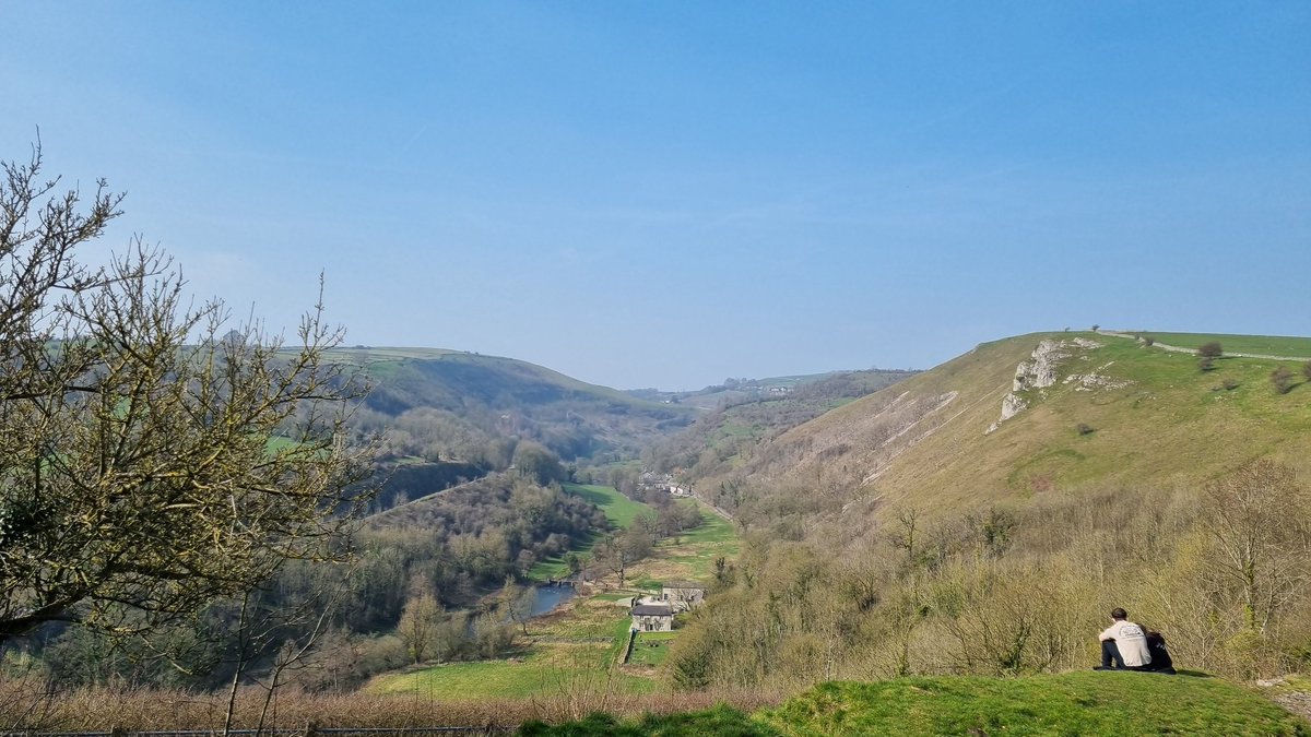 Jesse Jester 🎶 VSinger tweet media