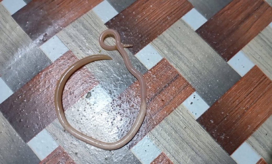 Jeff👻🔥 tweet media