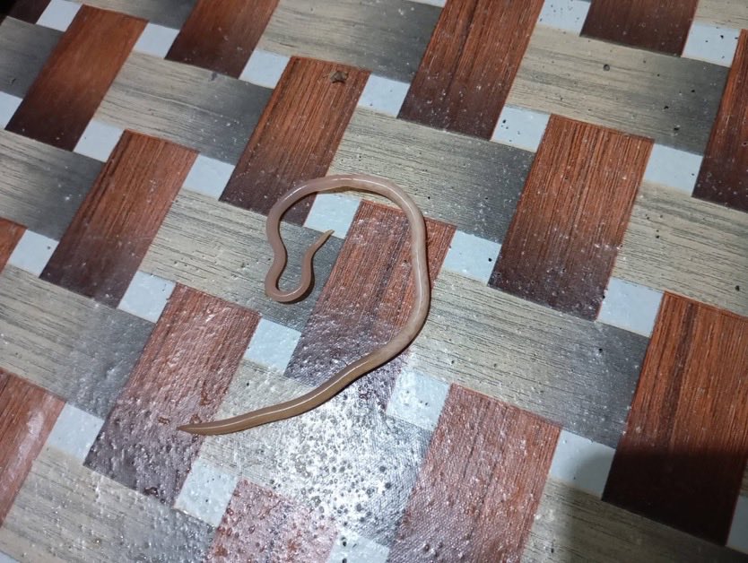 Jeff👻🔥 tweet media