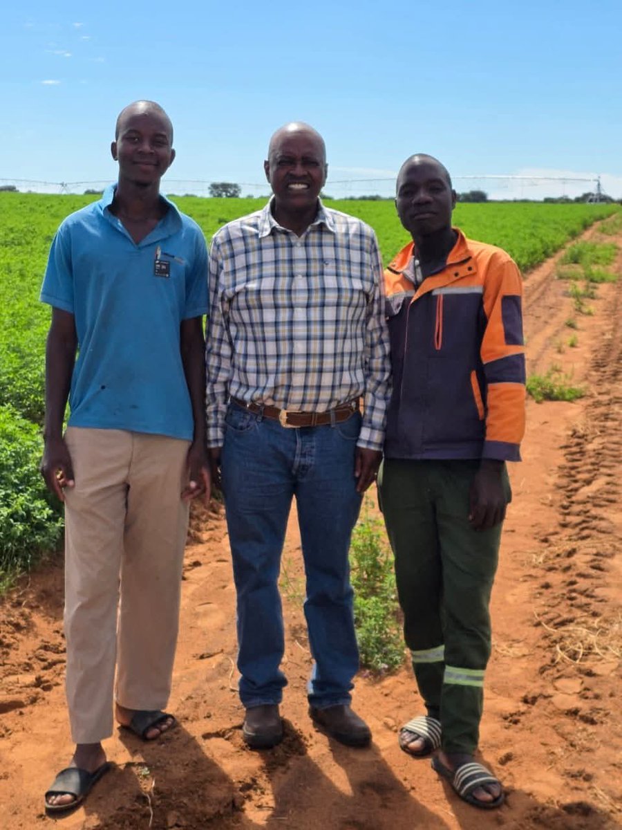 Mayor of Matobo🐊💪 tweet media