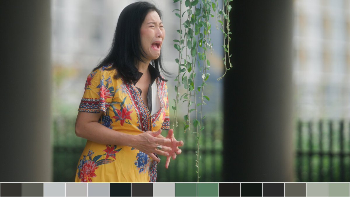 Hueray Color tweet media