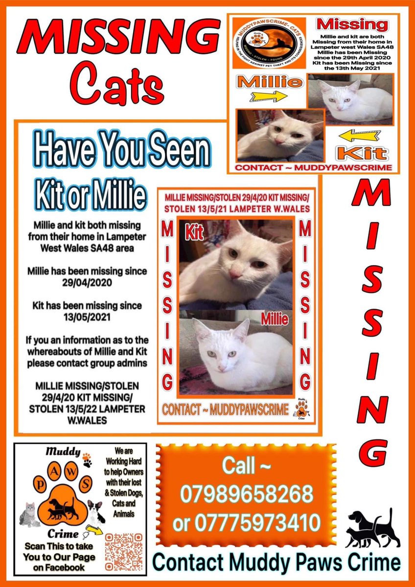 karensarah66's tweet image. These beautiful white, mother and son cats are both missing, Millie since 29/4/2020 and Kit since 13/5/2021. Please keep #caringandsharing especially today, #missingcatday 🙏🏻🐾🐾 #muddypawscrime #theftbyfinding #pettheft #whitecats #wales