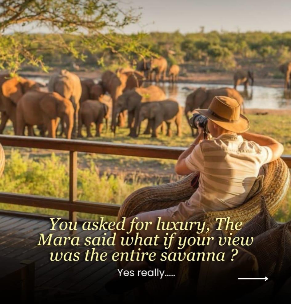 Classic exciting Safaris ltd tweet media