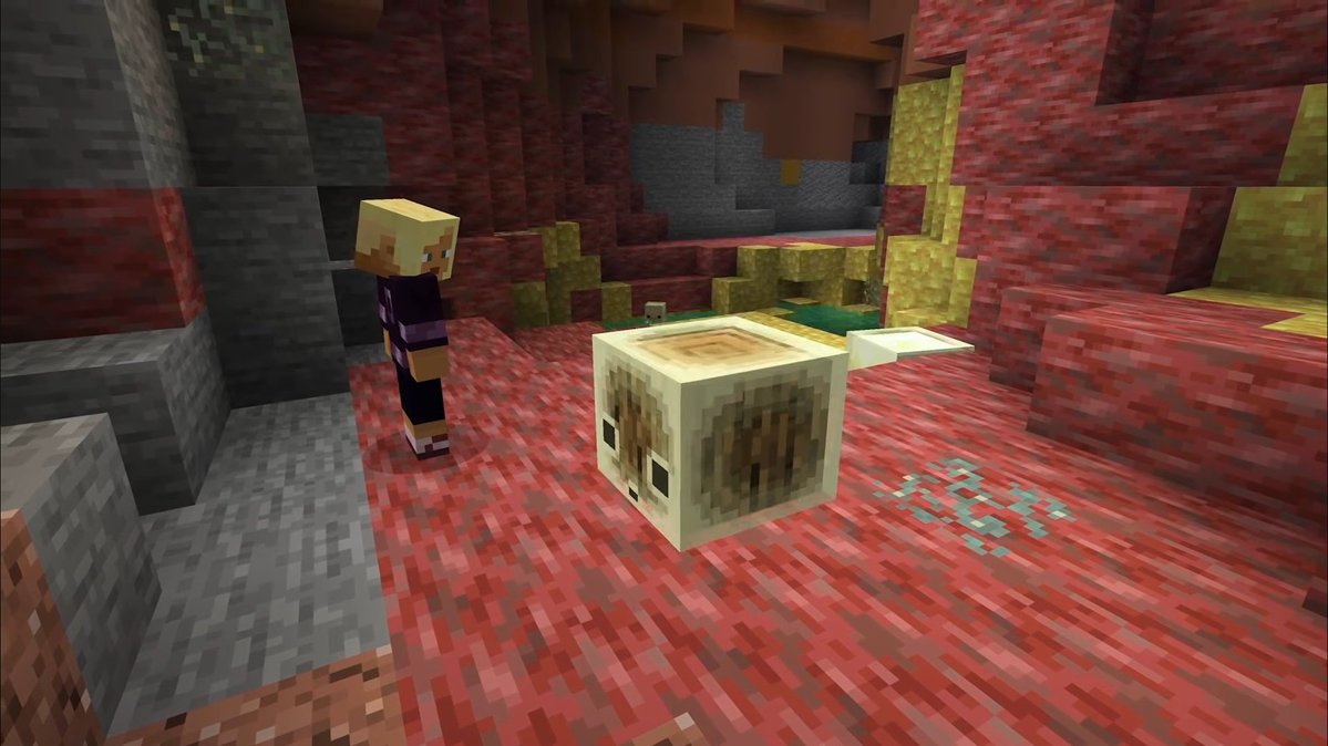 Minecraft Portal 🇧🇷 tweet media