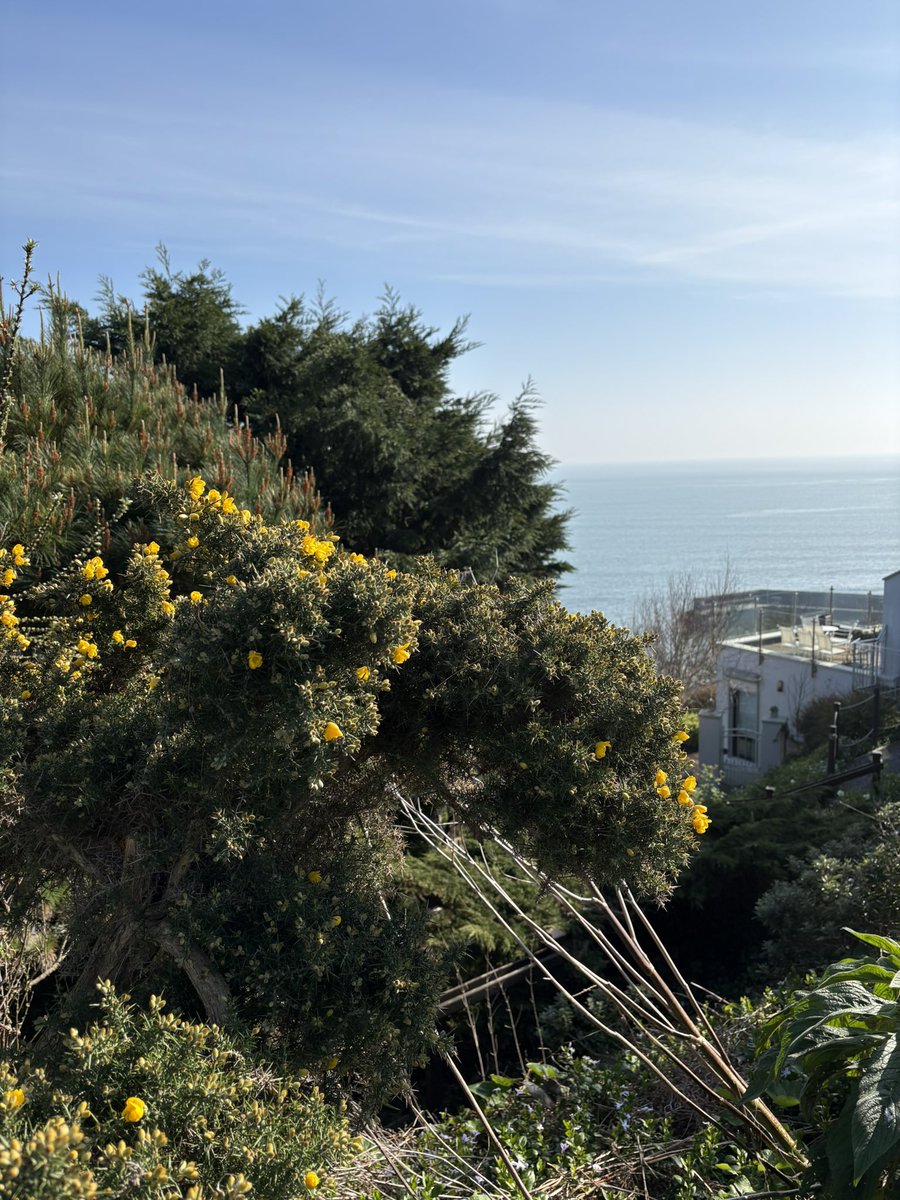 заебарби гедонизменная tweet media