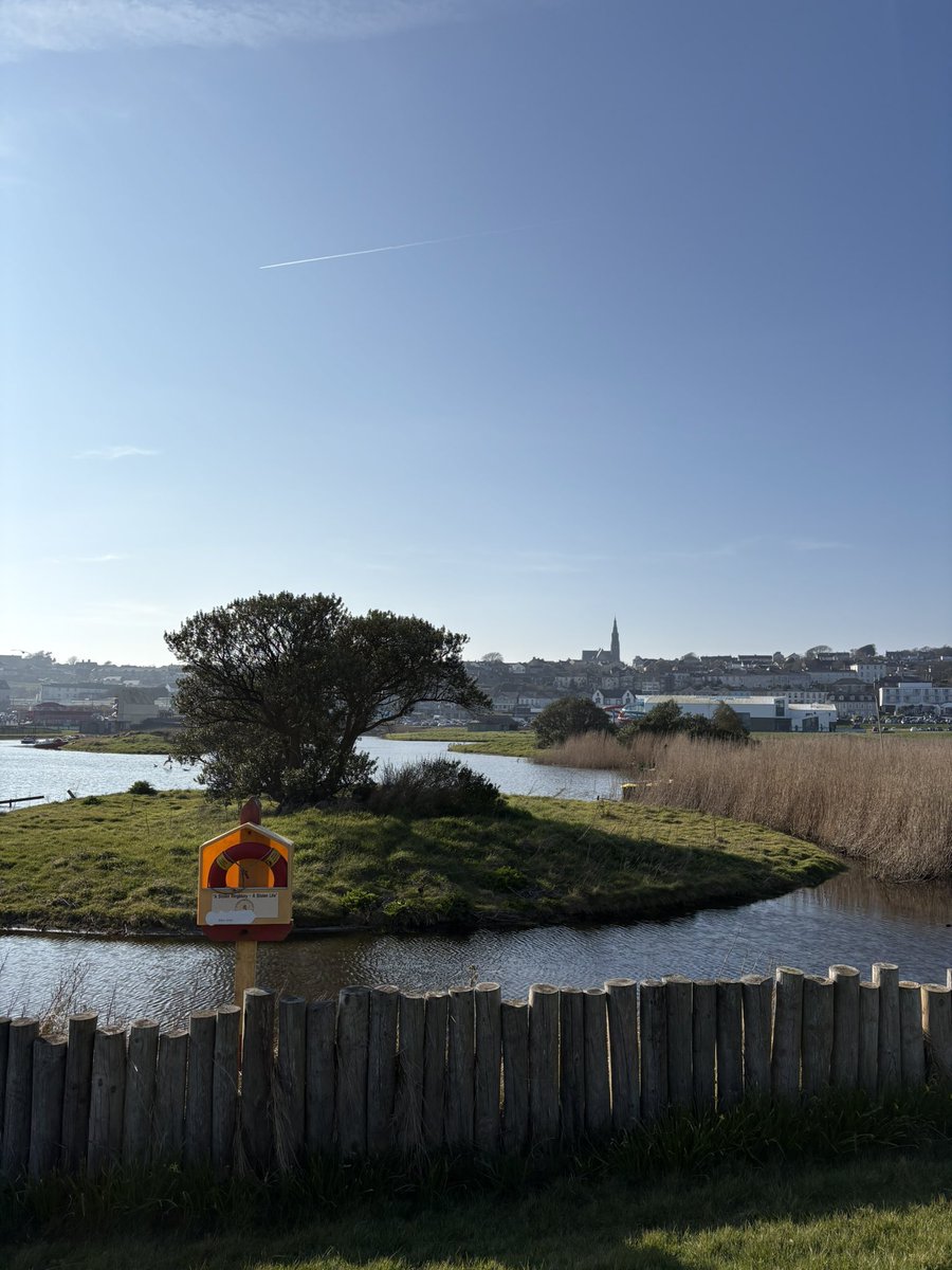 заебарби гедонизменная tweet media