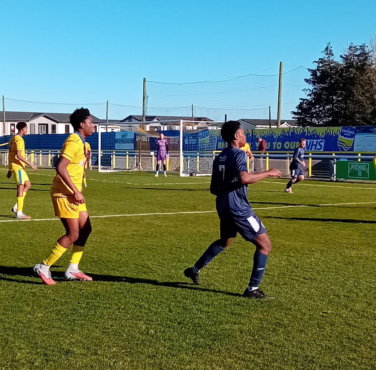 Chris Piper tweet media