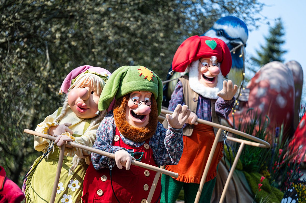 Belgaimage tweet media