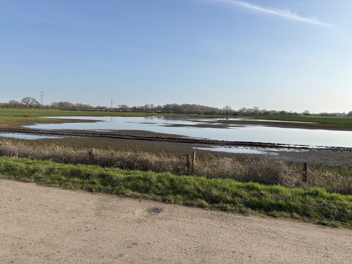 Nick Crouch tweet media