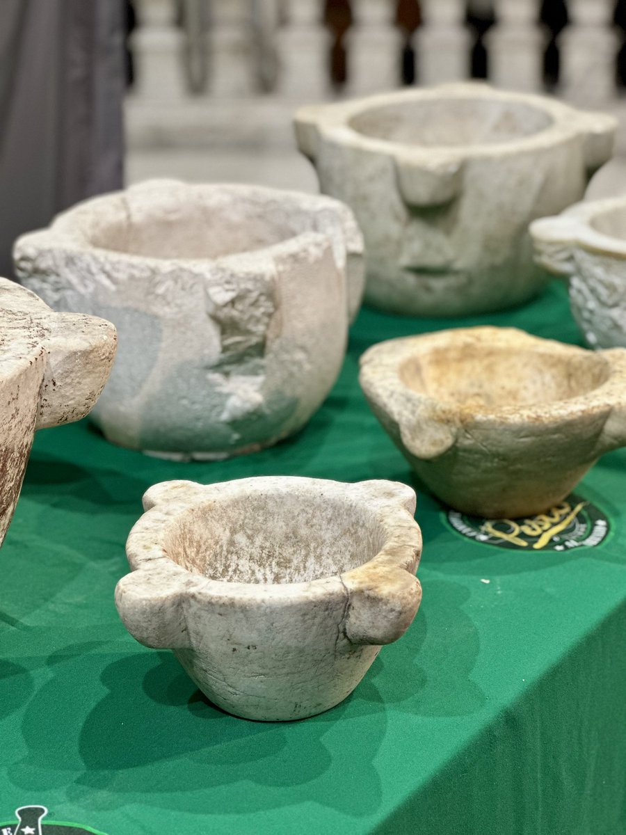 COMUNE DI GENOVA tweet media