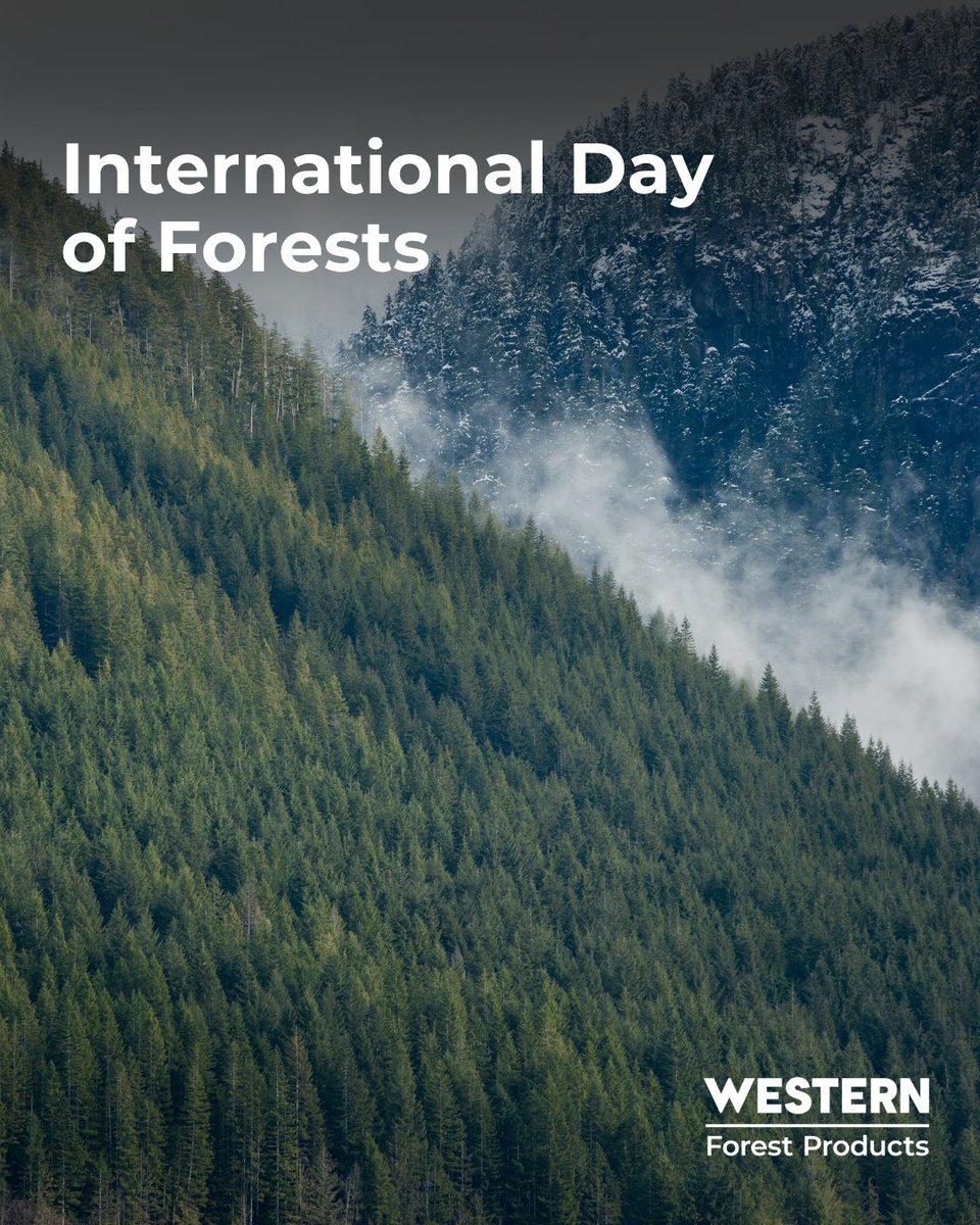 Western Forest Products tweet media