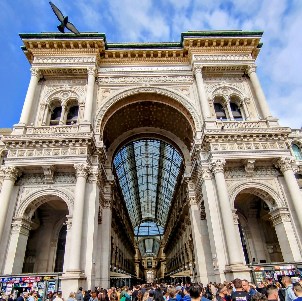 V. S. Góngora 🔻 tweet media