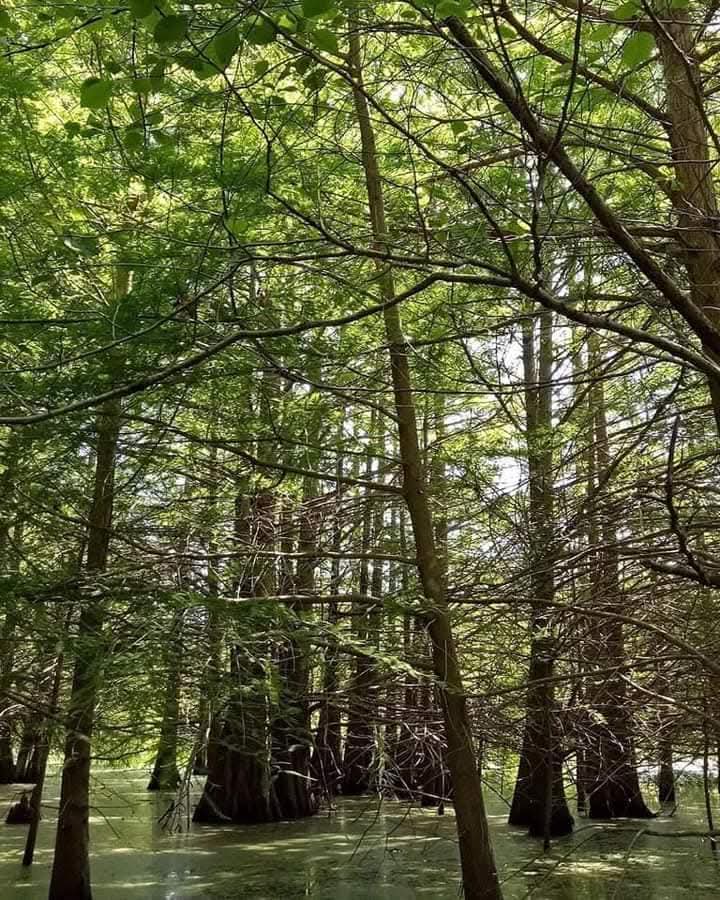 Maël Assal tweet media