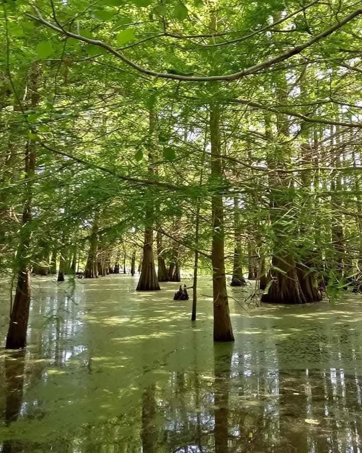 Maël Assal tweet media