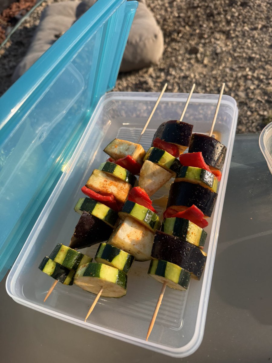 Tentation145L's tweet image. 🐾🔥 Salut les copains ! Ce soir ça sent bon le barbecue à la maison 😋
Au menu : brochettes de bœuf marinées aux 3 poivres 🥩, saucisses au bleu d’Auvergne 🌭, pommes de terre à la braise 🥔 et brochettes de légumes 🍆🌶️
on va se régaler 🤤

#Barbecue #TeamGourmand #VieDeChien