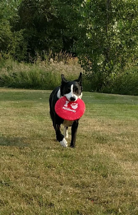 ProperTease tweet media