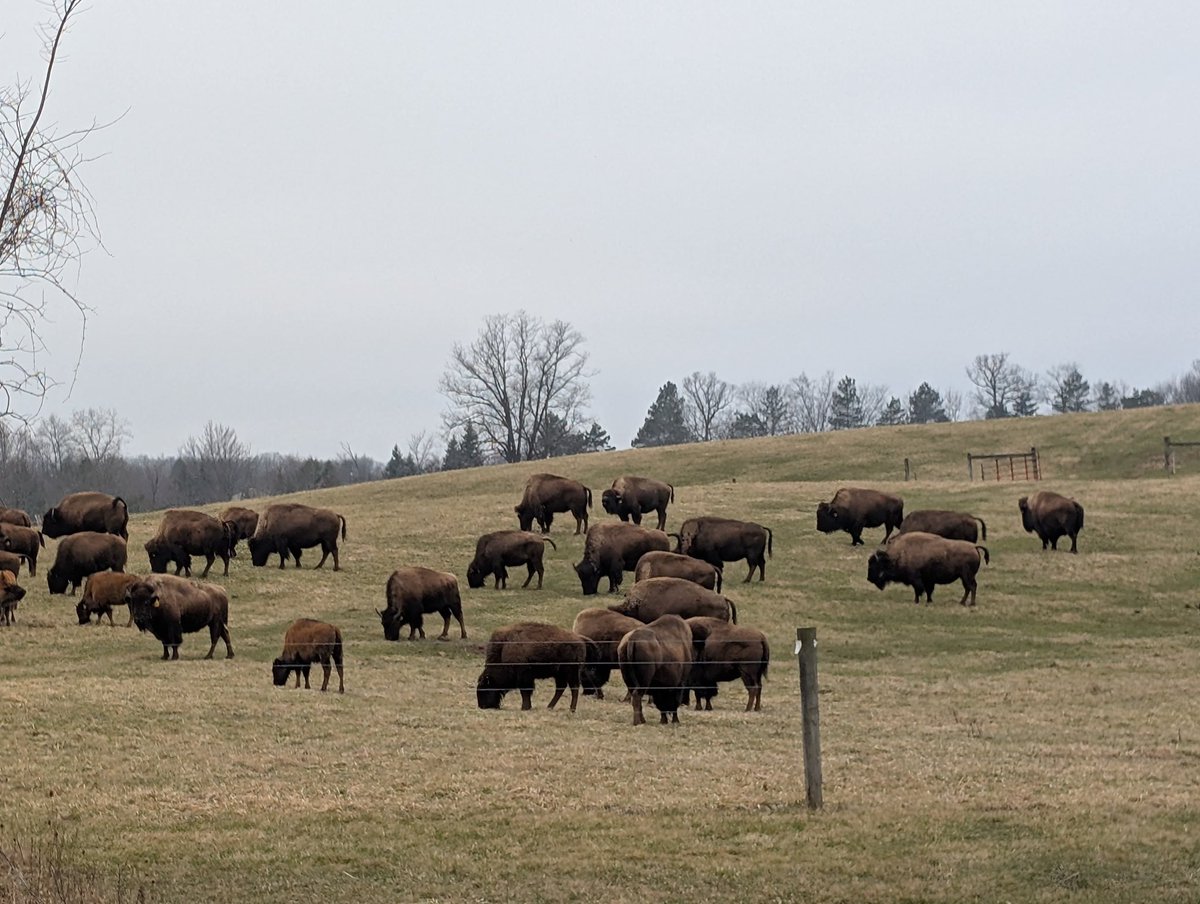 Trent McGee tweet media