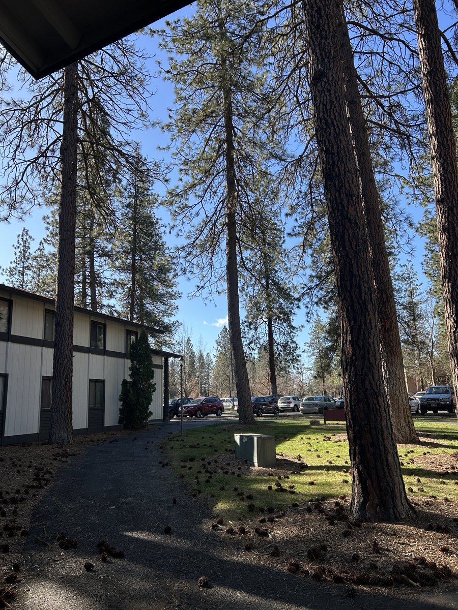 Stacy 😎 tweet media