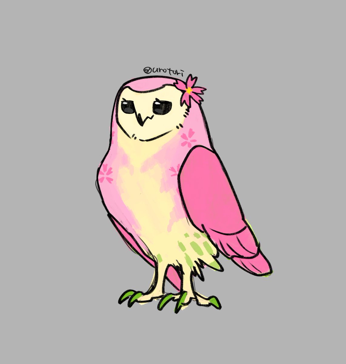 ウロトリ/urotori🪶 tweet media