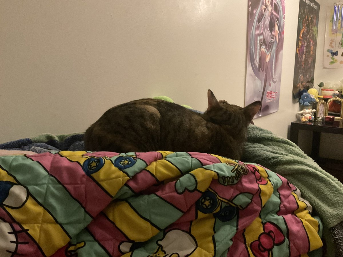 DON !!!!!!!!!!!!!!!!!!!! tweet media