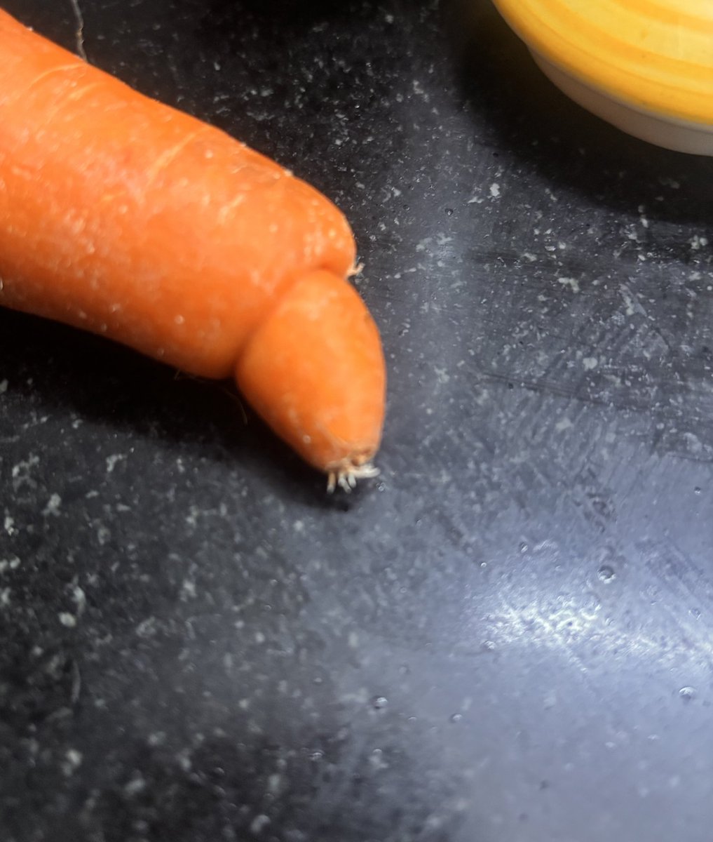 GoddessAlaya👑 tweet media