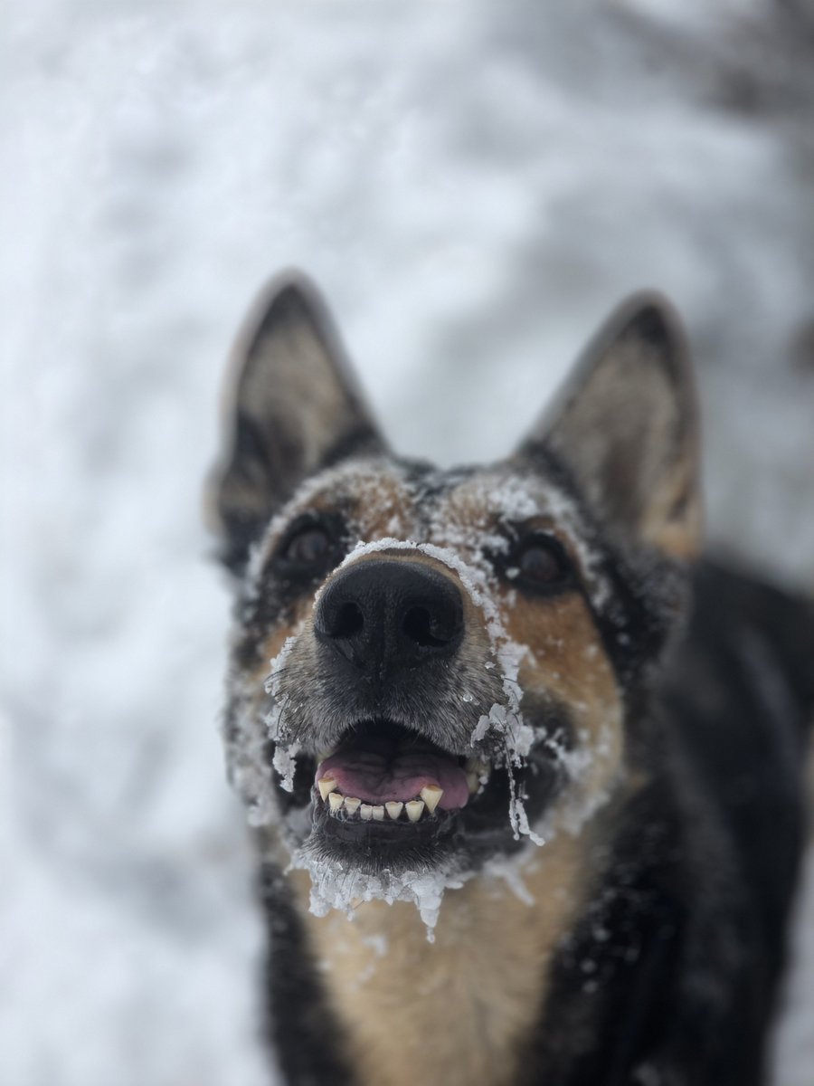 Bart ⬣ tweet media