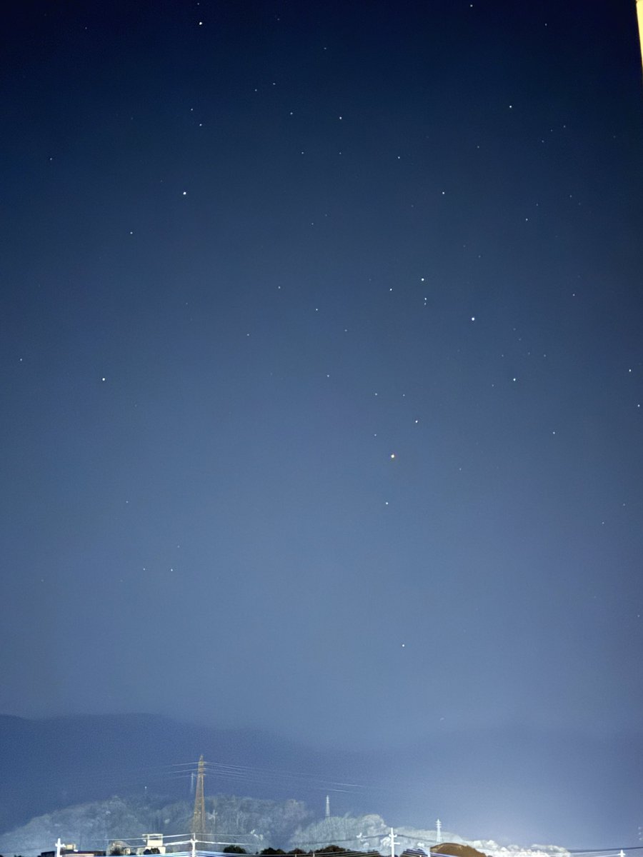 たるが tweet media