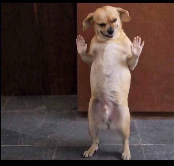 Not-Friendly-Guy tweet media