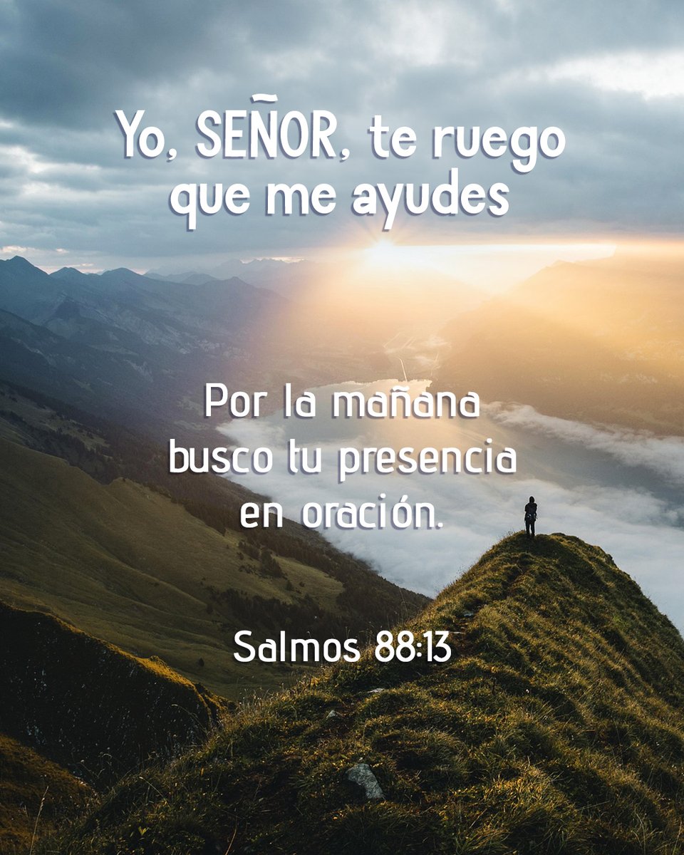 Cerca Está tweet media