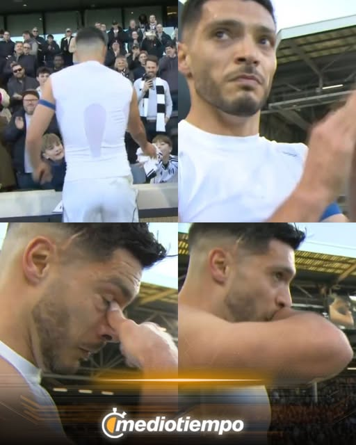 MedioTiempo tweet media