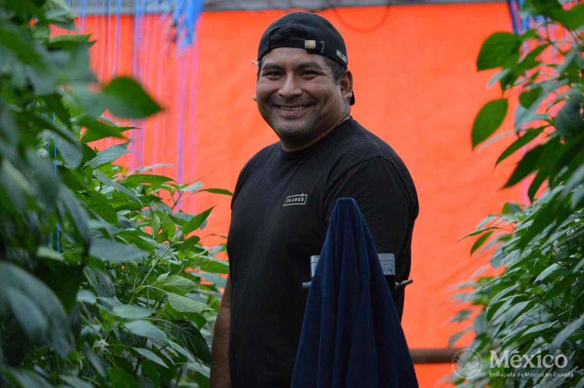 Embamex Canada tweet media