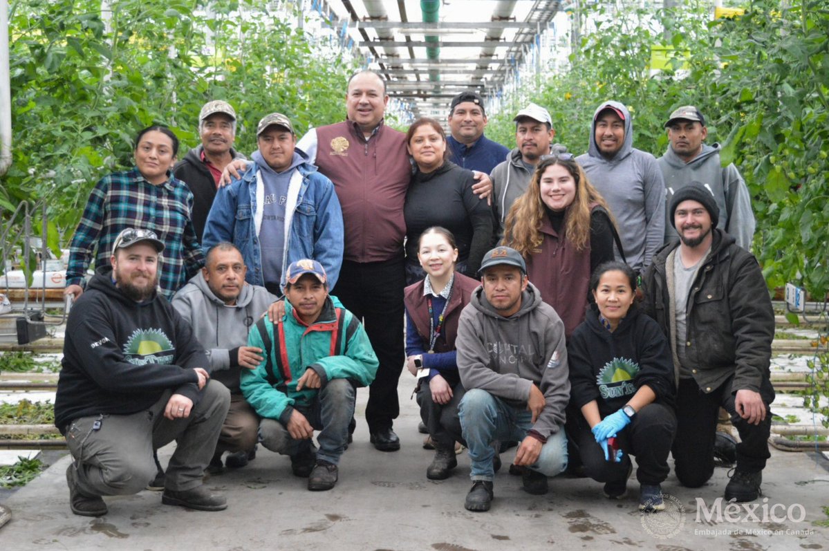 Embamex Canada tweet media