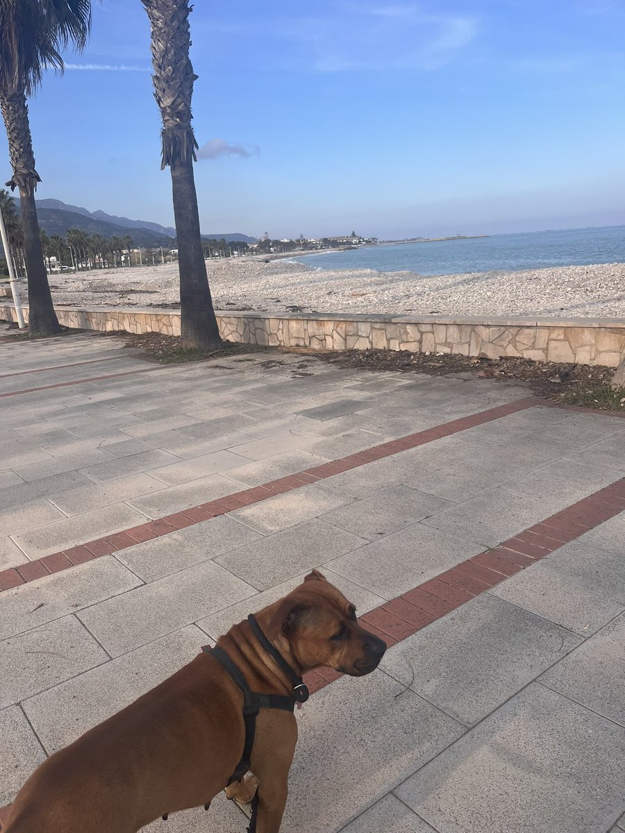 Old Lady Brain 🩸 tweet media