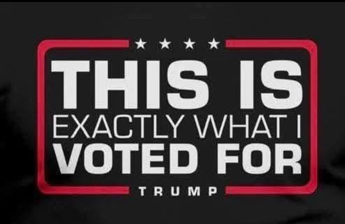 🇺🇸American Patriot🇺🇸 tweet media