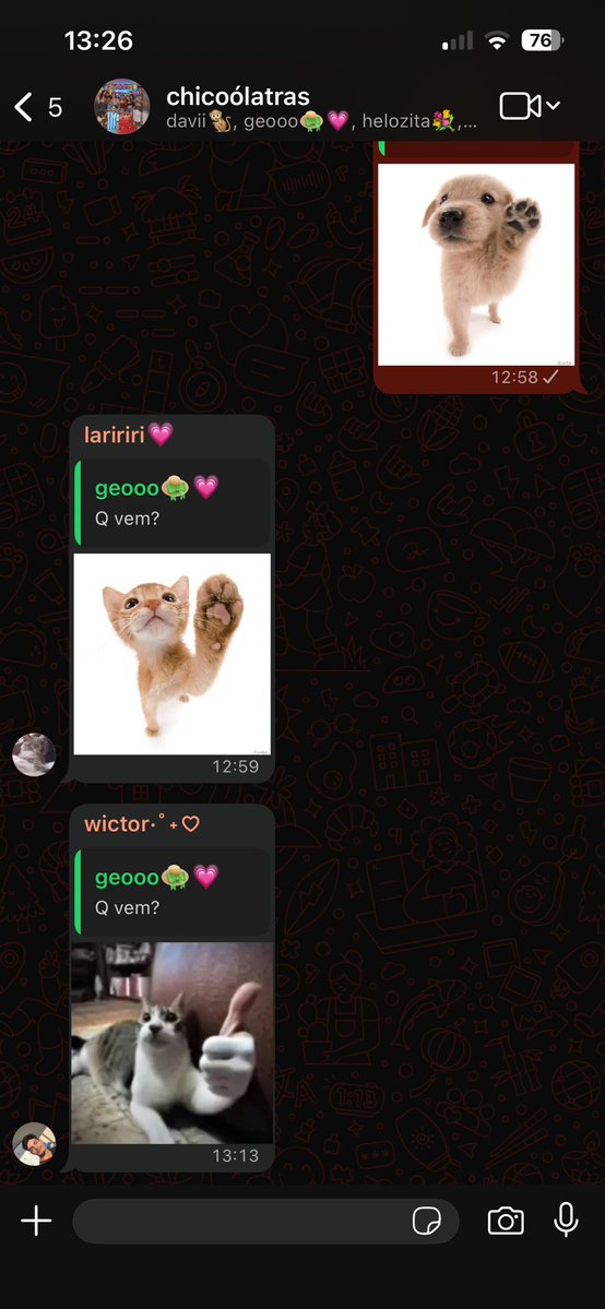 sol 🐈✨ tweet media