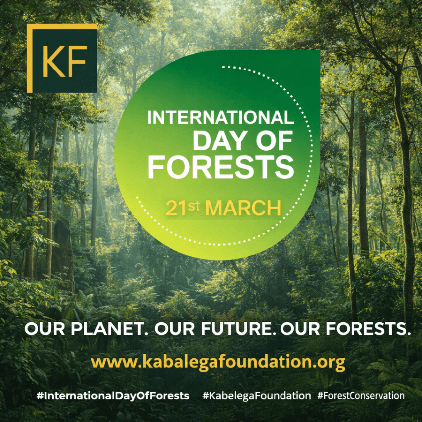 Kabalega Foundation tweet media